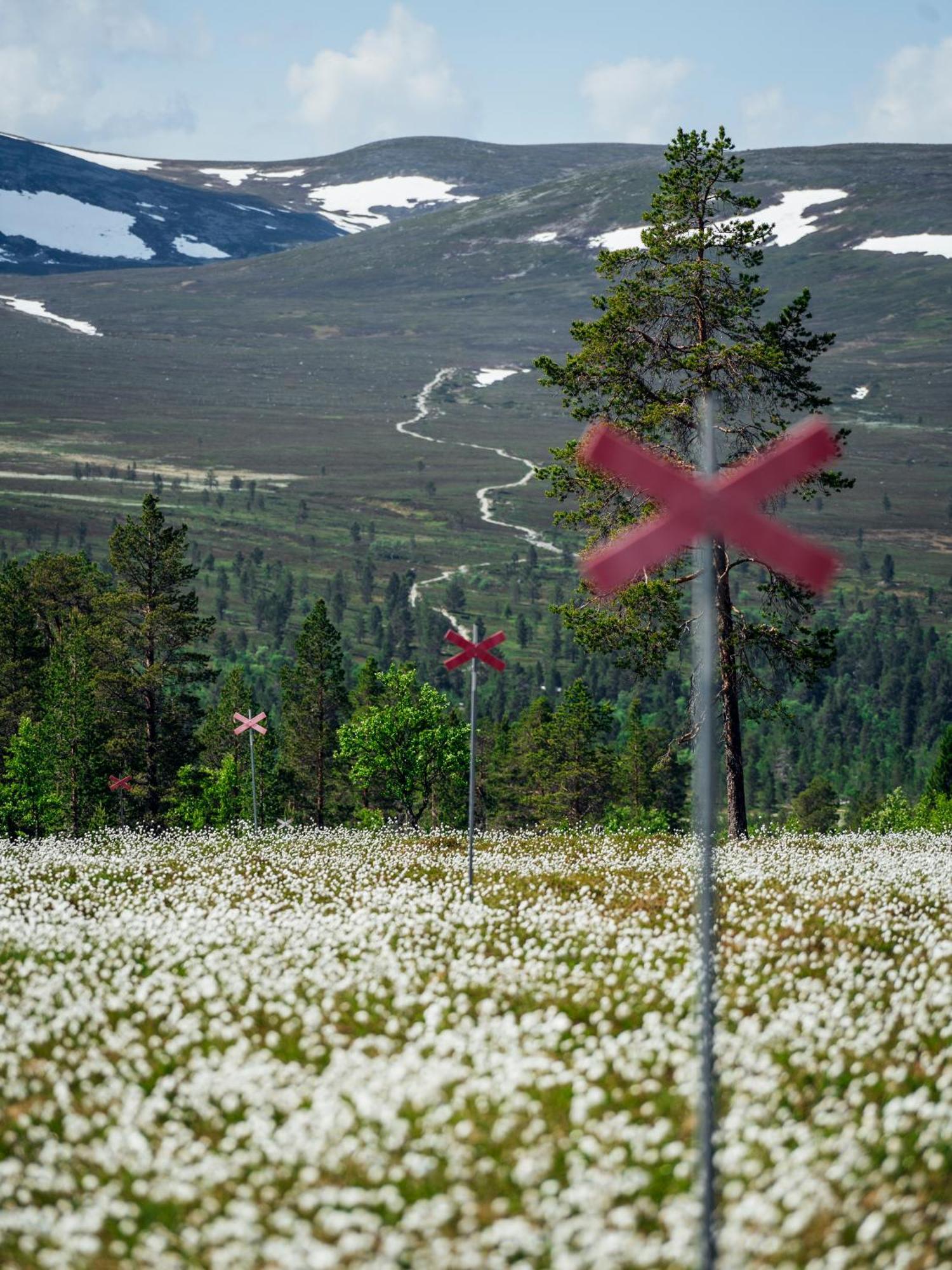 Loevasgardens Fjaellhotell Lovasen Dış mekan fotoğraf